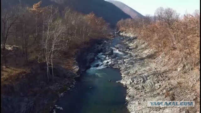 Самое странное место на планете. Почему на Сахалине обычные растения достигают гигантских размеров?