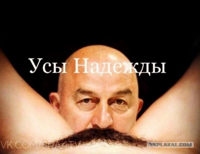 Анекдот дня. Наверное.