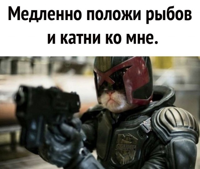 Так себе картинки 07.08.21