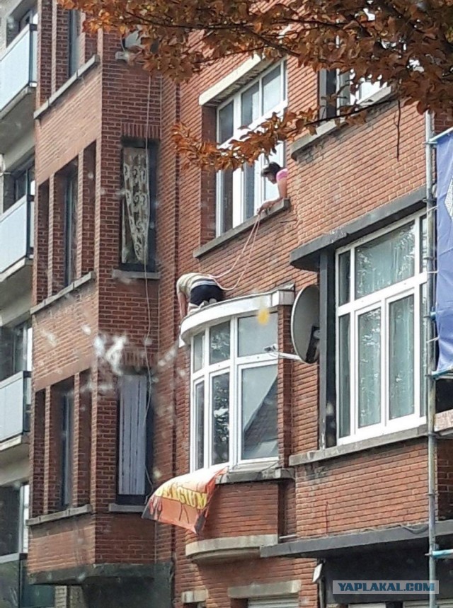 Подборка идиотских фотографий