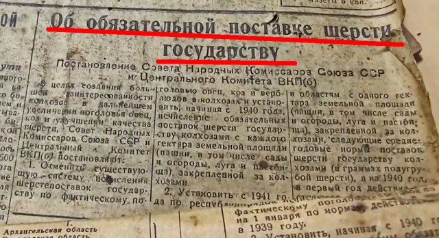 А вы бы как поступили с такой находкой, не срача ради
