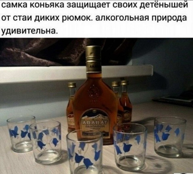 Картинки и мемы, всем прекрасных выходных