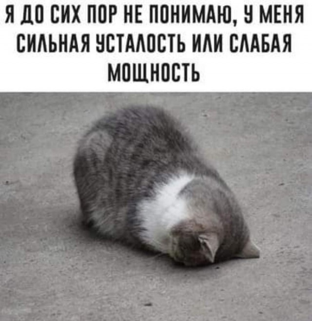 Стоша Говнозад