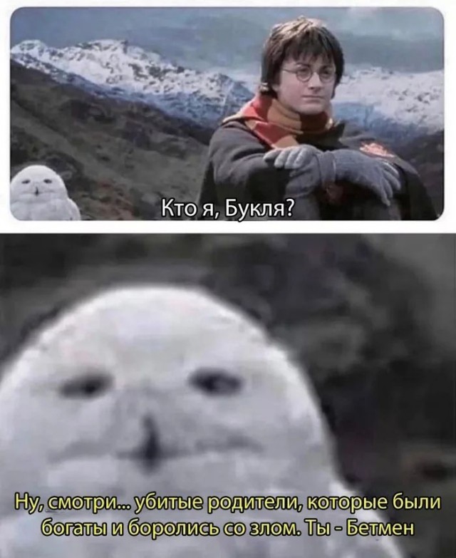 Юмор и прикольные картинки