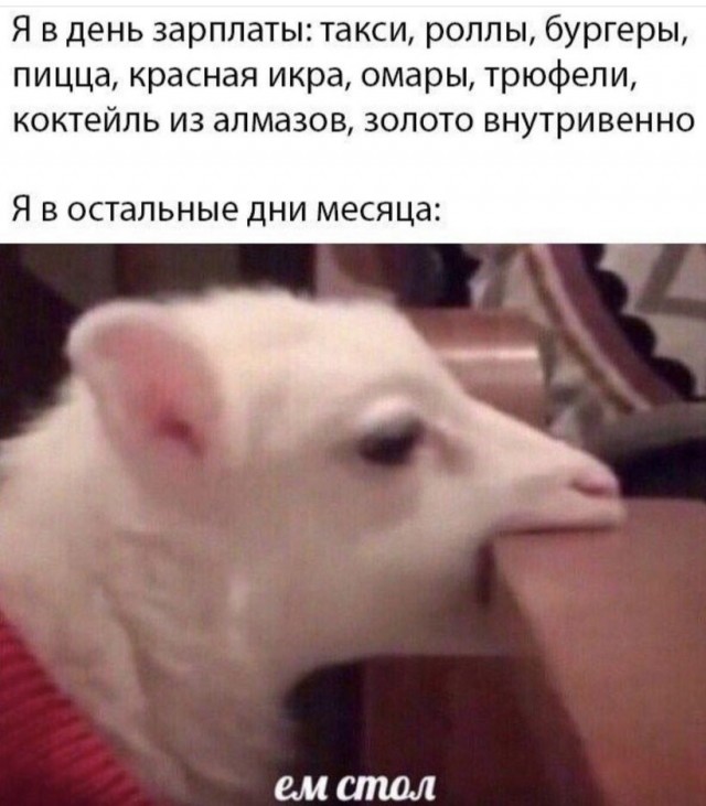 Картинки и мемы для настроения 26.10.2021