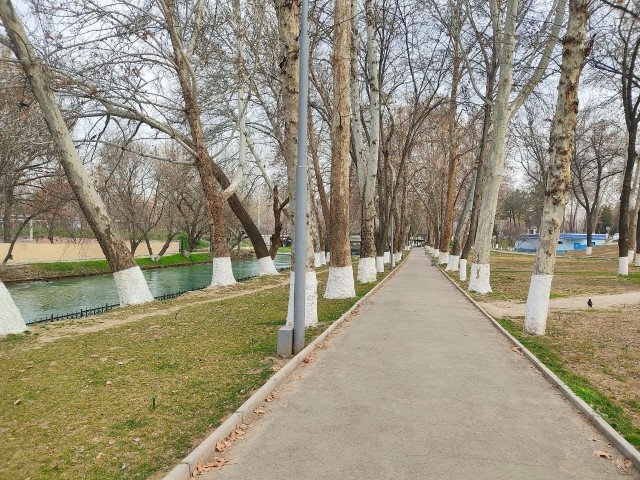 Выпускайте пчёл!