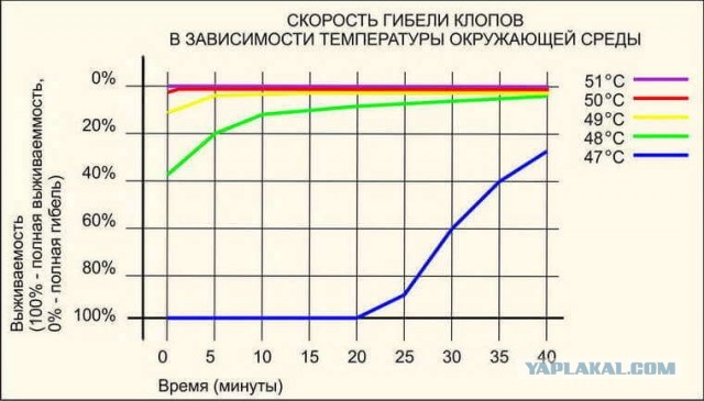 Клопы в доме. Нужны одекватные советы