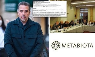 Daily Mail выявила причастность сына Байдена к биолабораториям на Украине