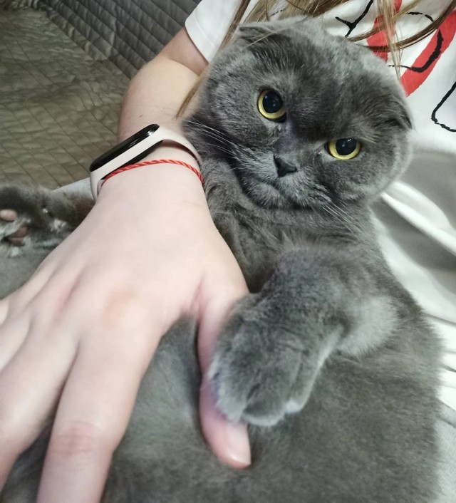 Ну, поехали в котоввторник!