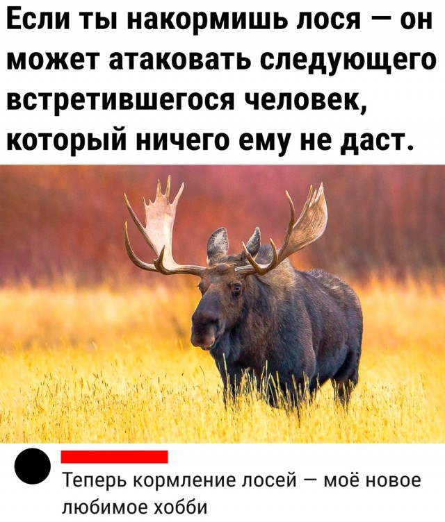 Так себе картинки 05.04.22