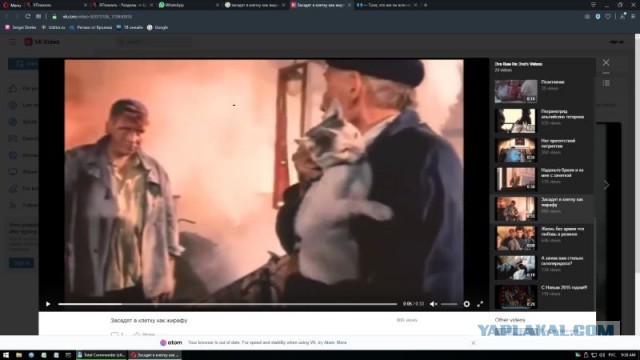 А каковы ВАШИ эпические про*бы ?