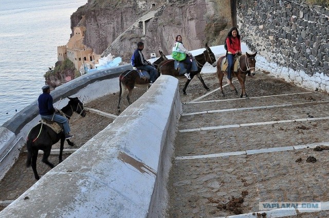 Любовь с первого взгляда