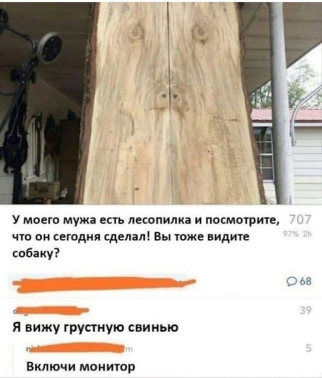 Юмор в картинках и без 21.11.2022