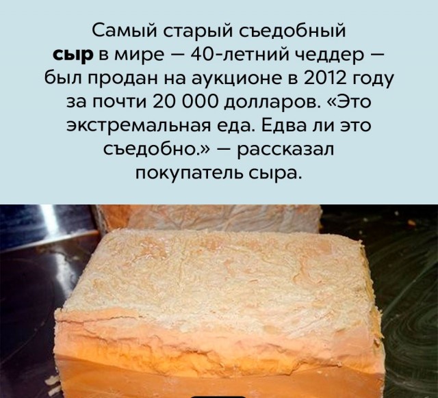 Немного бесполезных фактов