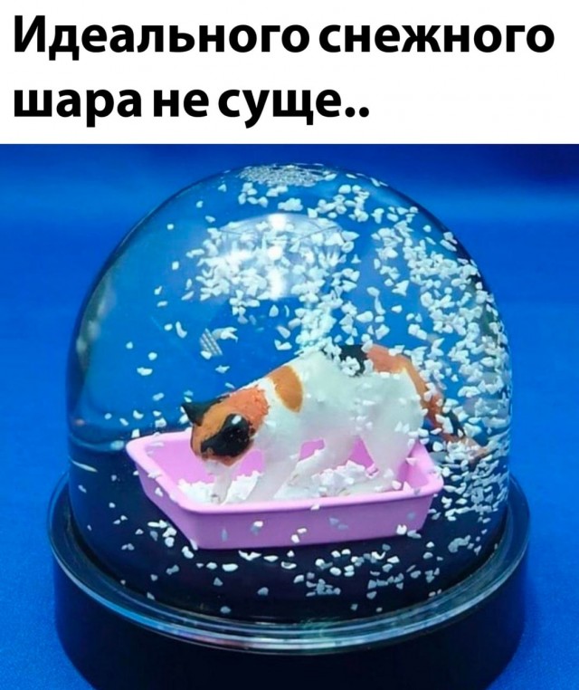 Так себе картинки 24.12.22