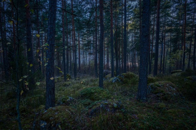 Тайга: страшные истории. Часть 3