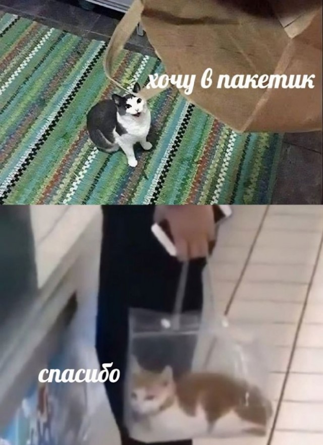 Немного картинок для настроения - 127