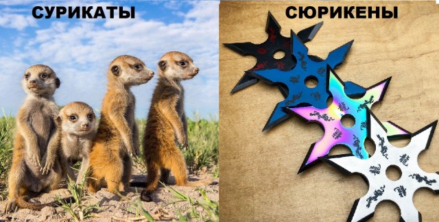 Смотри, Кутузов, не перепутай...