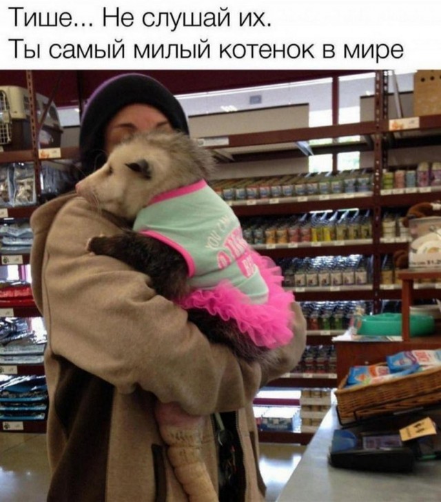Немного картинок для настроения - 135