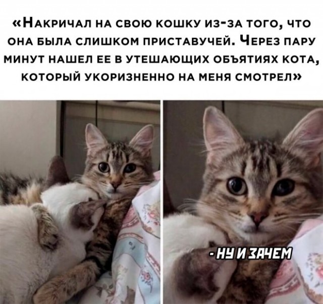 Картинки и мемы, всем хороших выходных