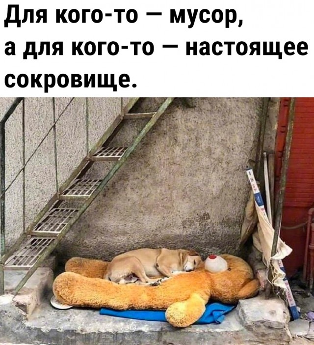 Так себе картинки 04.06.23