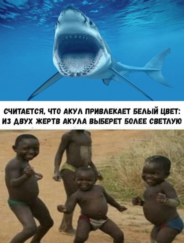 В очередной раз о демографии