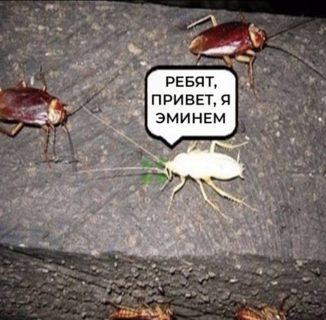 Всего понемногу. От 24.08.2023