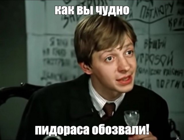 Страсти вокруг бродячих собак в Магаданской области