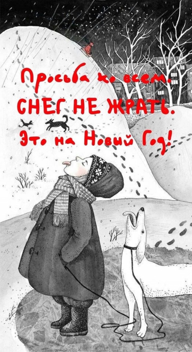 Так себе картинки 04.12.23