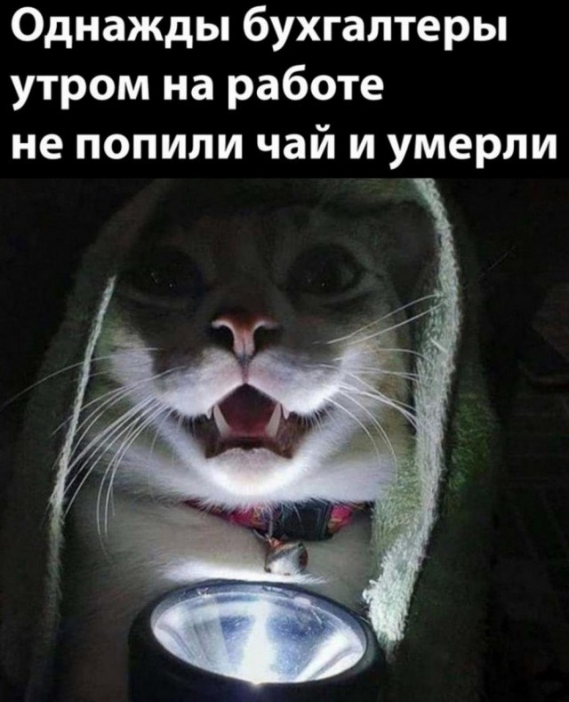 Приколы с налетом деградации