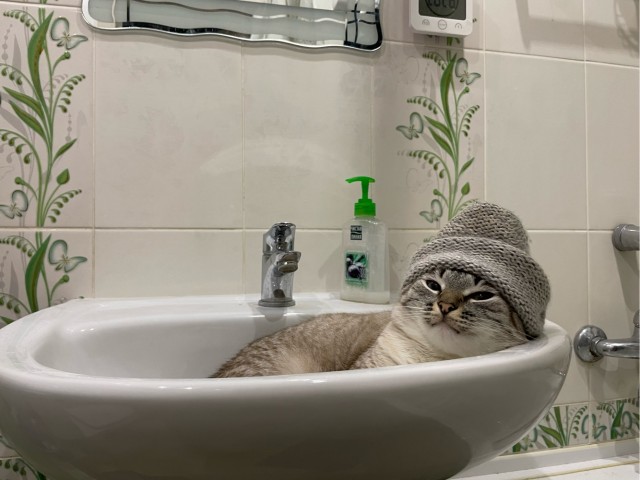 Умыться нереально