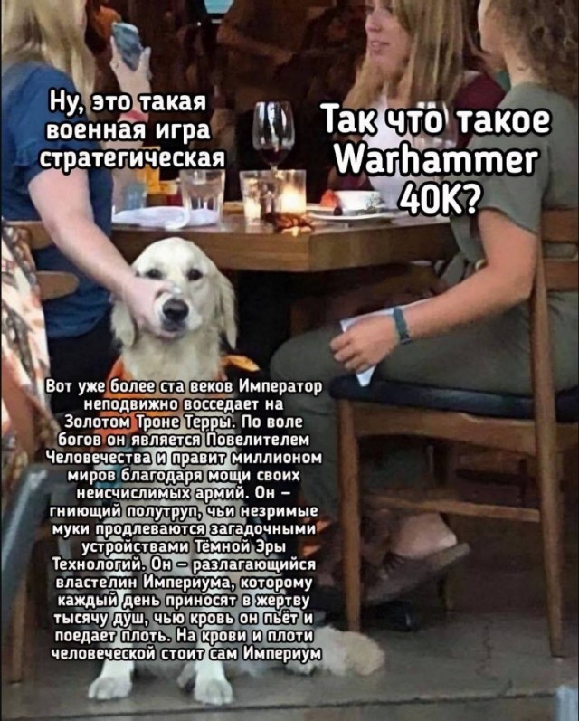 Названия женских чатиков