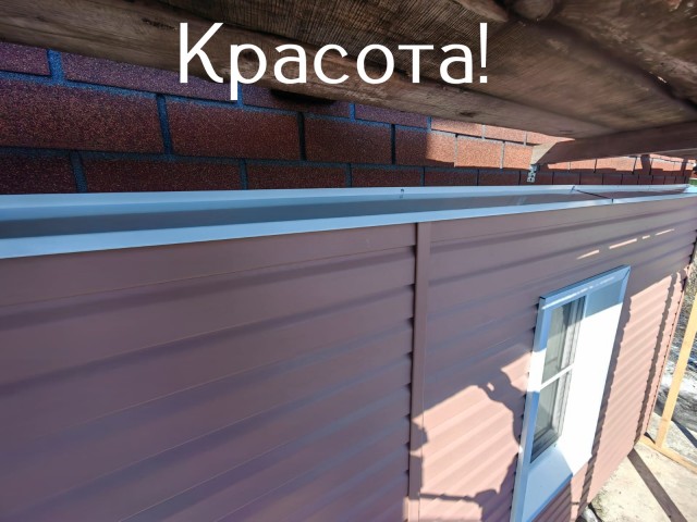 Жизнь домашнего приюта "Котоленд" 431