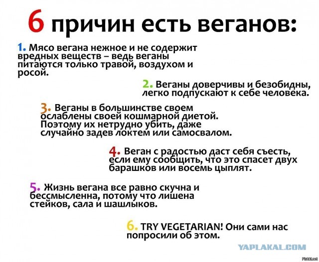 За мясом ездили сегодня