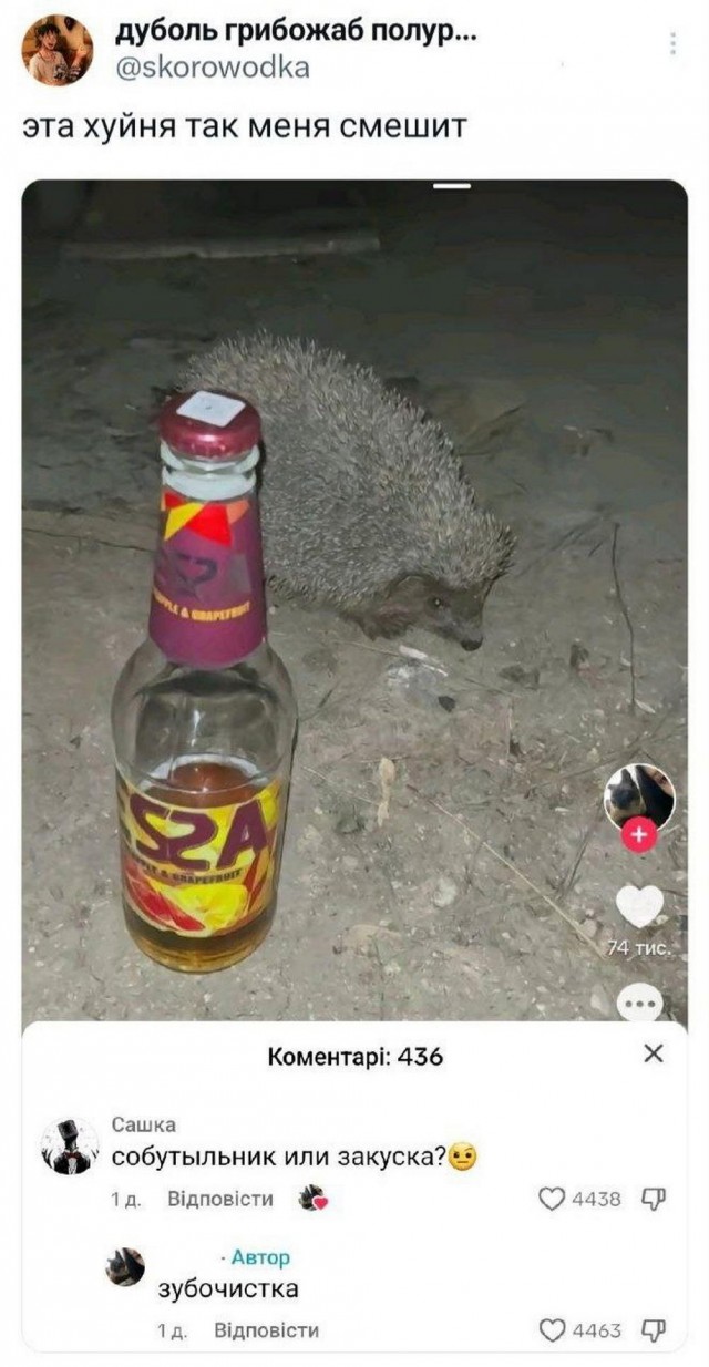 Отряд быстрого деградирования