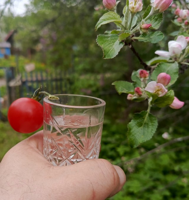 Вопрос радистам