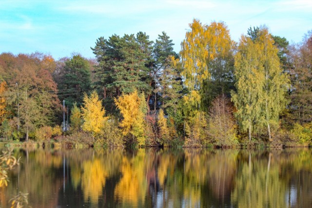 Фоточку сделал сейчас