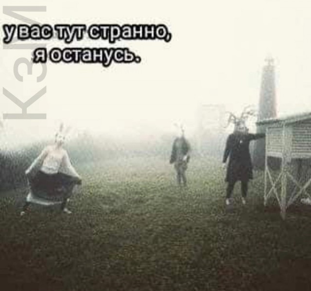 Так себе картинки 07.08.24