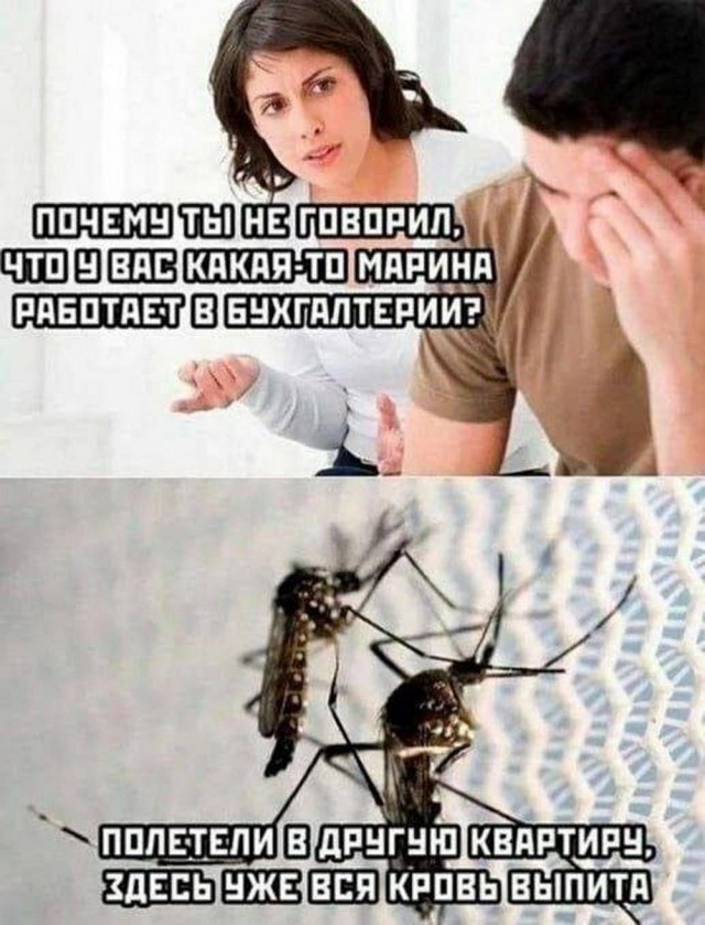 Немного забавных картинок от 22.08.2024