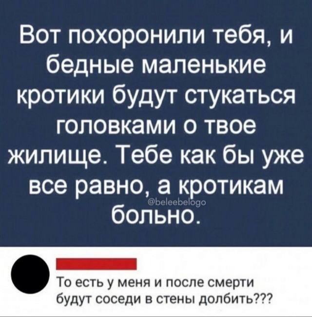 Немного картинок натыренных в ТГ