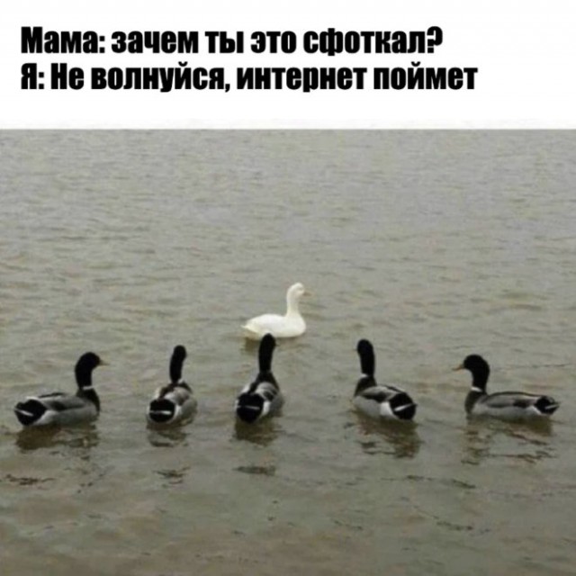 Завалялось тут случайно немного забавных картинок