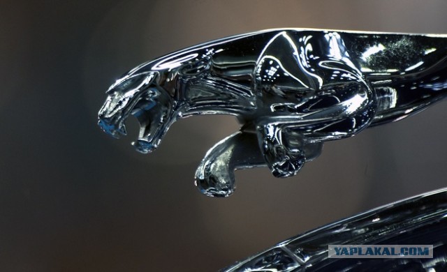 Jaguar все?