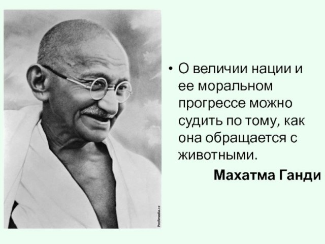 Ты беги, беги по Радуге, зверь, мягкими лапами переступай... В память о Славе