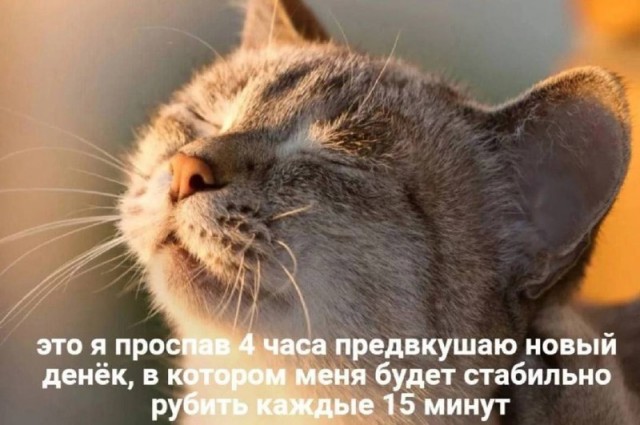 Весёлый полтишок 06.03.2025