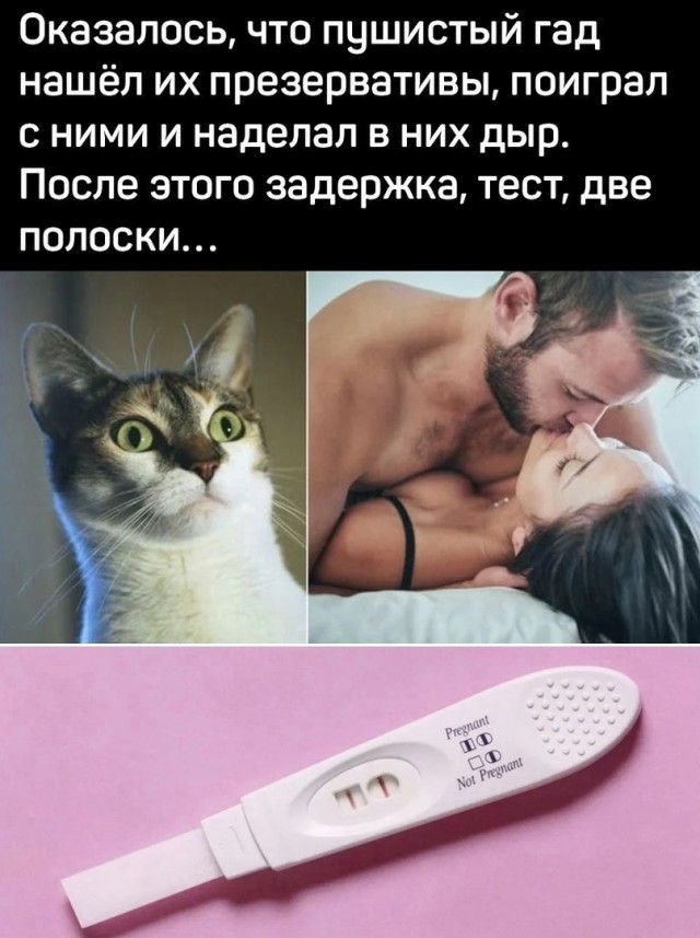 Так себе картинки 17.05.25