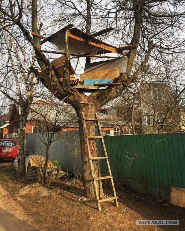 Дела йо банные