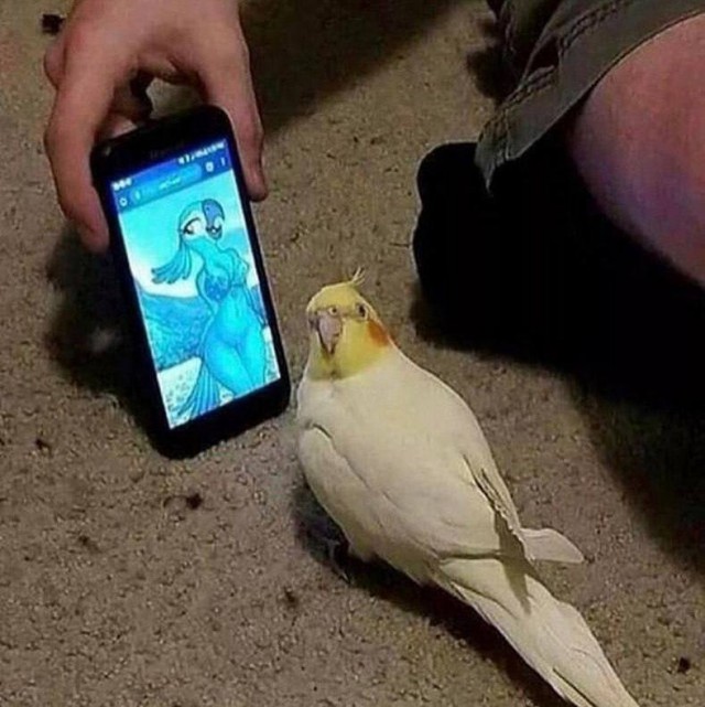 Завалялось тут случайно немного забавных картинок