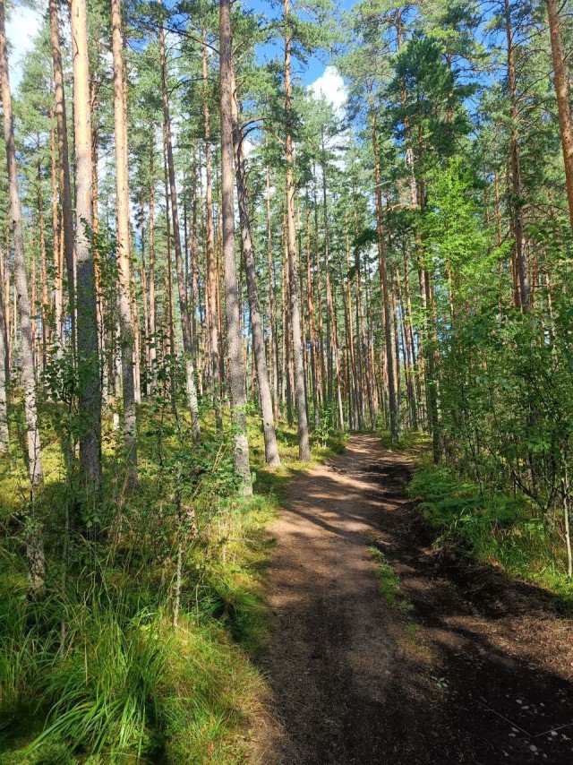 Карельский перешеек, Ленинградская область