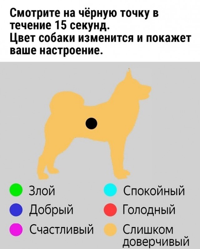 Картинки для деградации 36 (разной степени свежести)