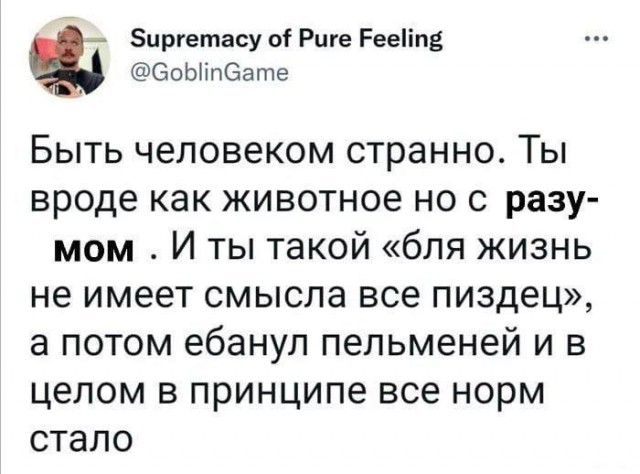 Небаянистая деградация 6
